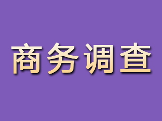 市中区商务调查